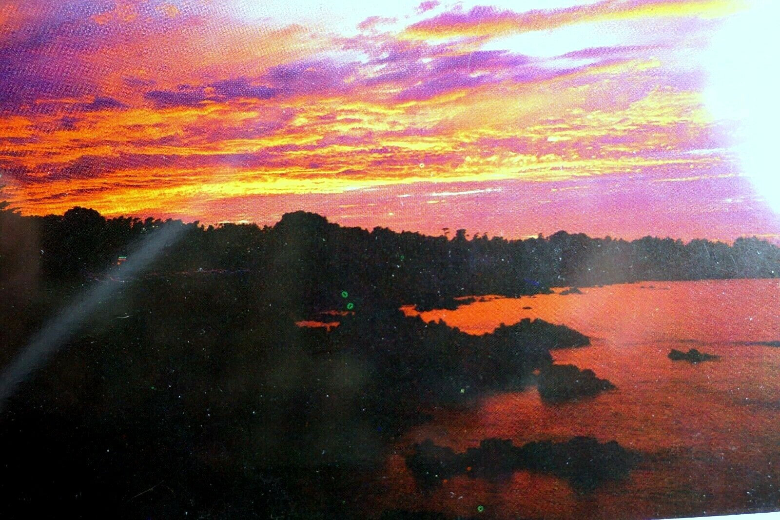 Lower's point sunset monterey california usa postcard vintage 1970's