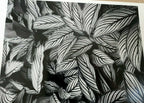 Calathea vittata oahu 1977 photograph by don worth greeting card d 008 floral