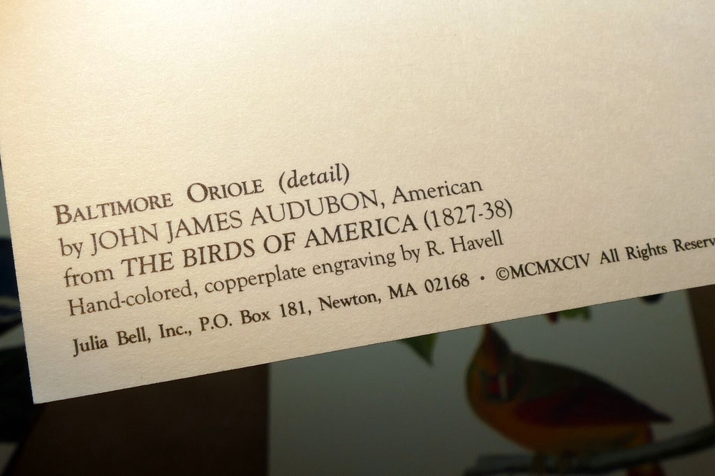 Songbirds John James Audubon Postcard Postcard unposted set of 5 lot