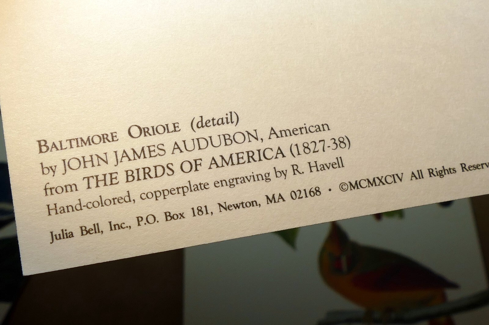 Songbirds John James Audubon Postcard Postcard unposted set of 5 lot