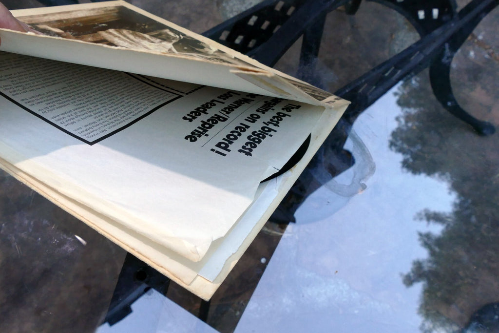 Mimi Farina And Tom Jans - Take Heart LP   SP 4310 A&M 1971 Vinyl Record