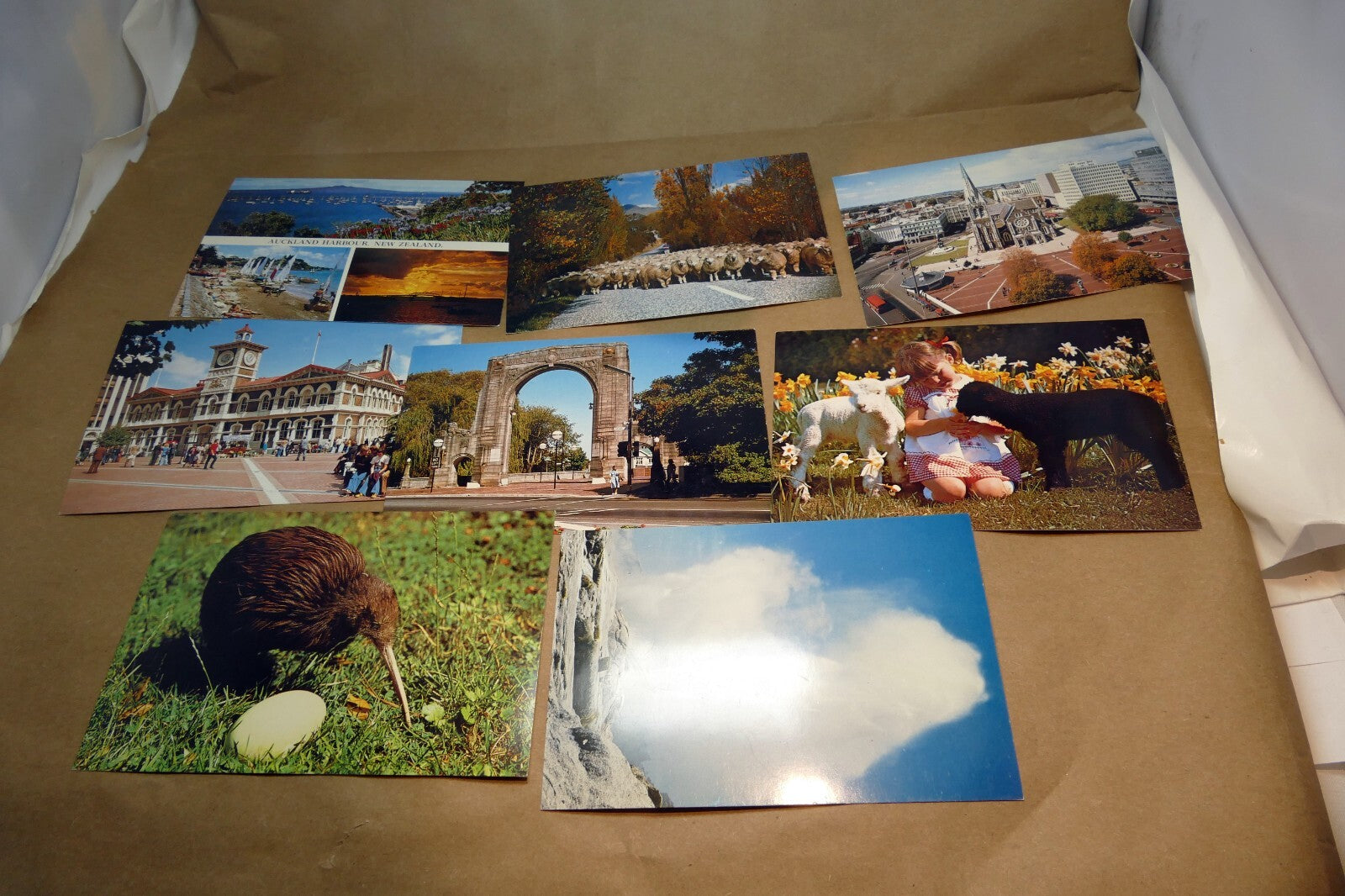 1970-80's Postcard unposted New Zealand Auckland Landscapes kiwi Sheep