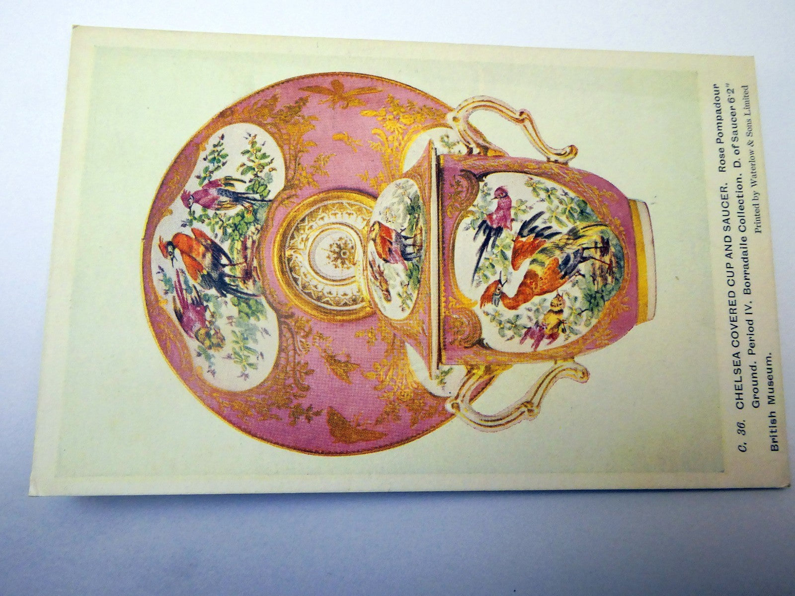 Post Card Chelsea Cup and Saucer English C.36 unused Unposted 1910-1920