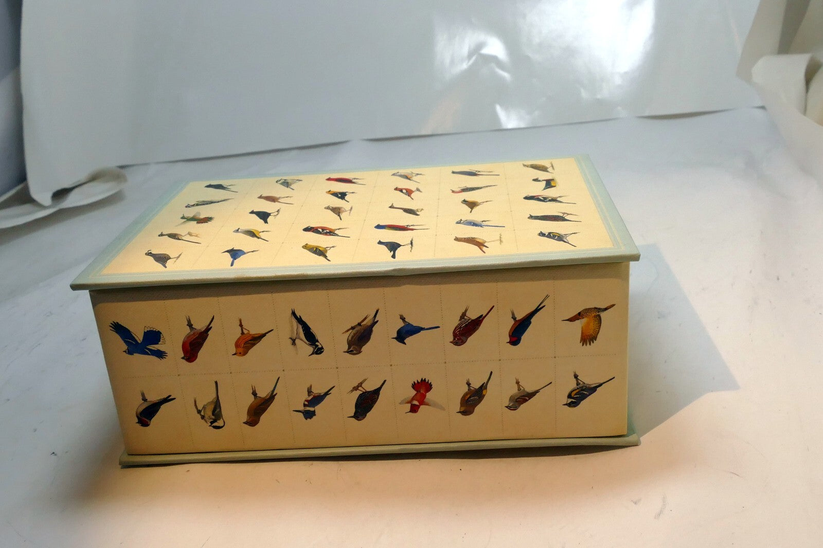 Empty Box (only)  for Sibley backyard Birding bird 4X6.5"