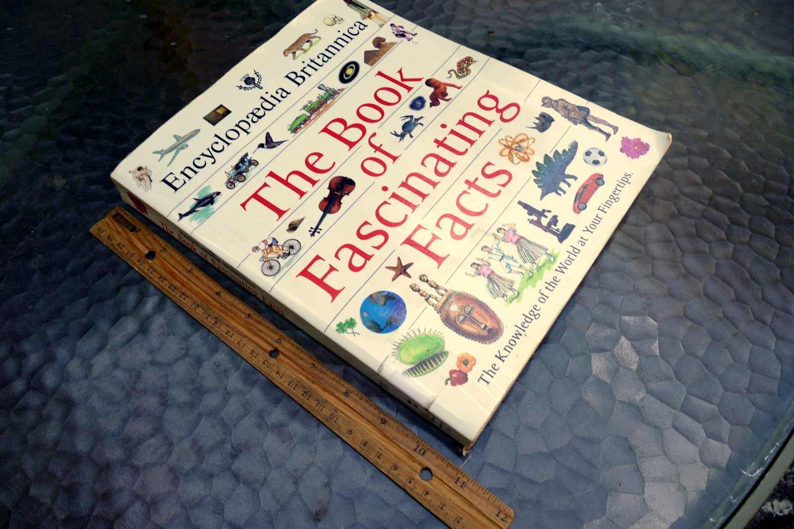 The Book of Fascinating Facts Encyclopedia Britannica  1992 paperback for kids