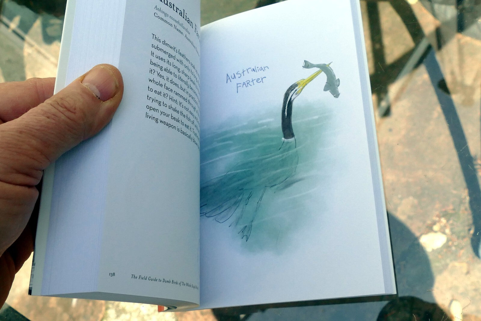 The Field Guide to Dumb Birds of the Whole Stupid World (Paperback or Softback)