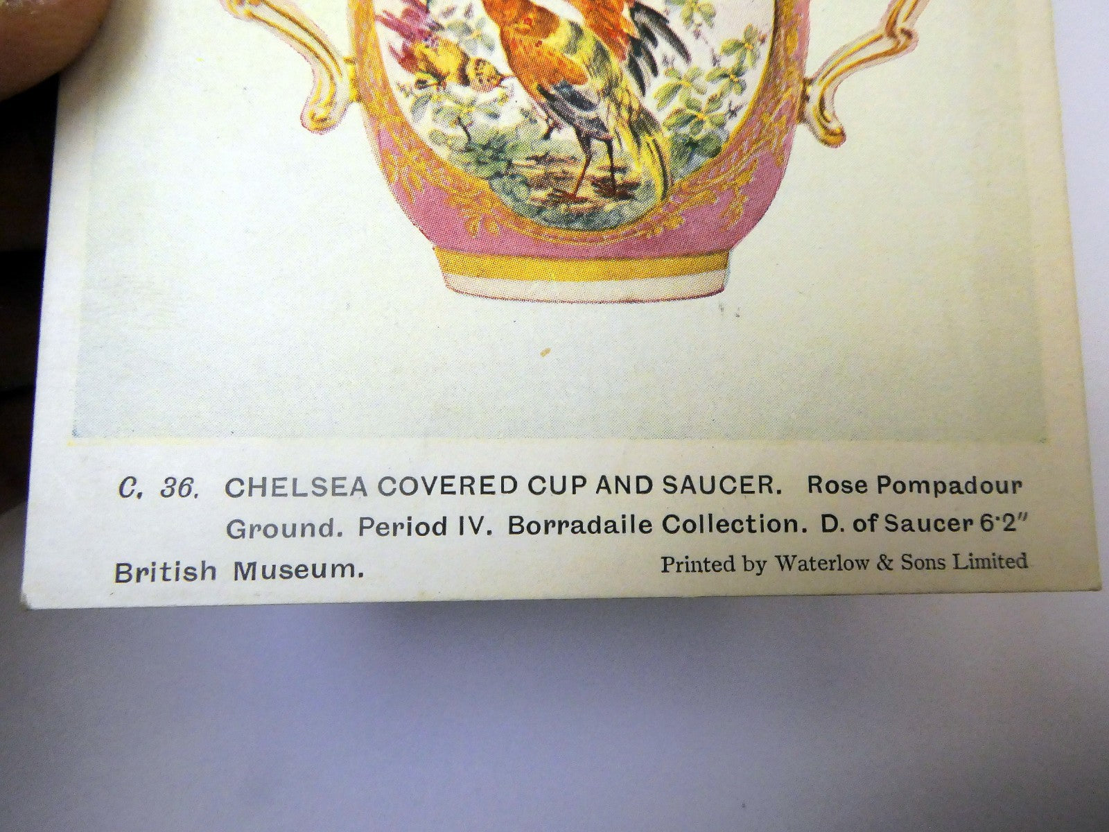 Post Card Chelsea Cup and Saucer English C.36 unused Unposted 1910-1920