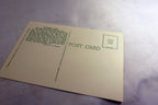 Mississippi Rover Ferry Landing USA Post Card 1960's vintage