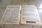 Indians and Trees by George Cohan 1933 Music Sheet New York USA
