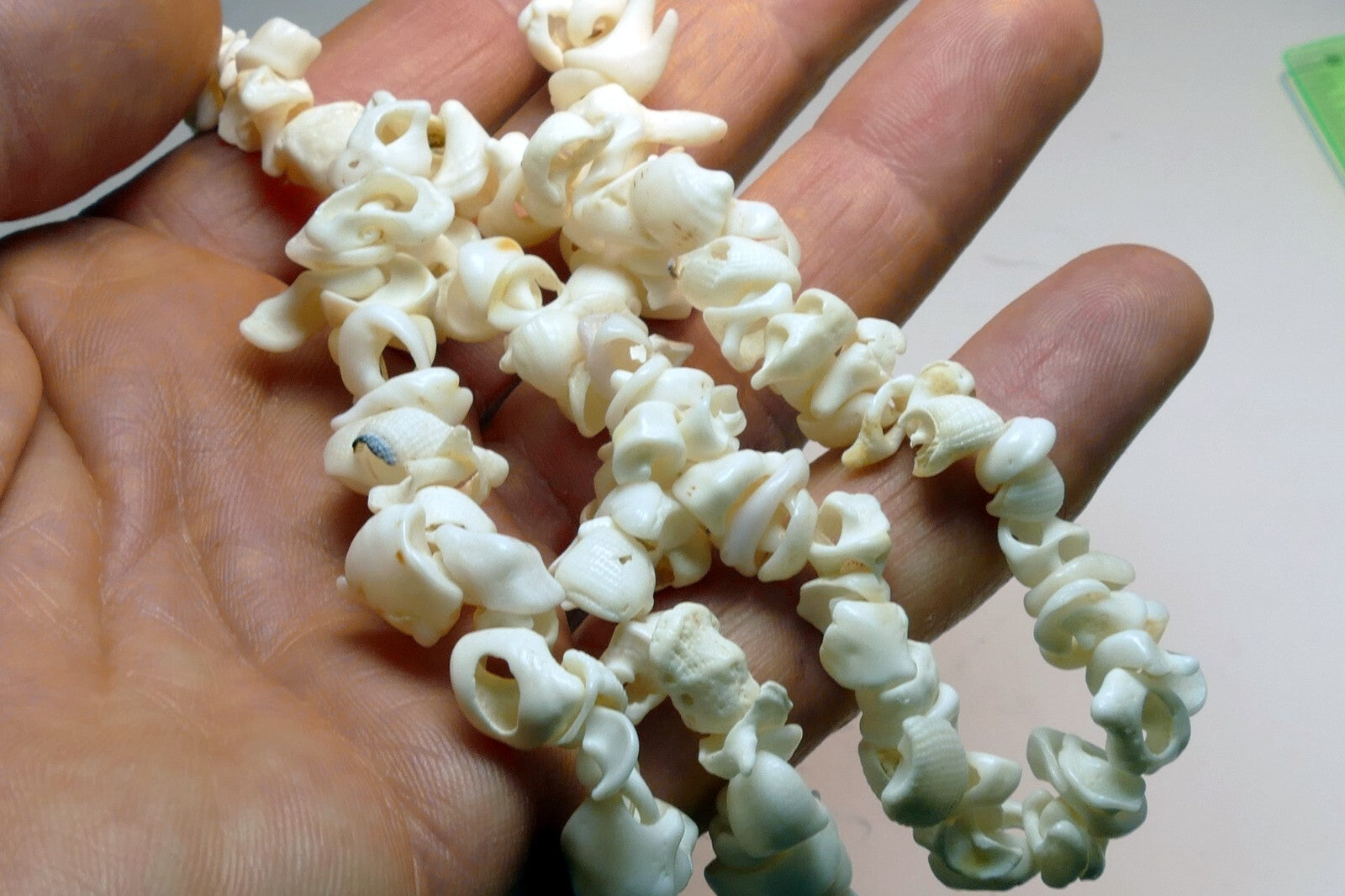 Cowrie Shell 17" Necklace Lei Jewelry Boho Surfer White ocean pacific hawaii