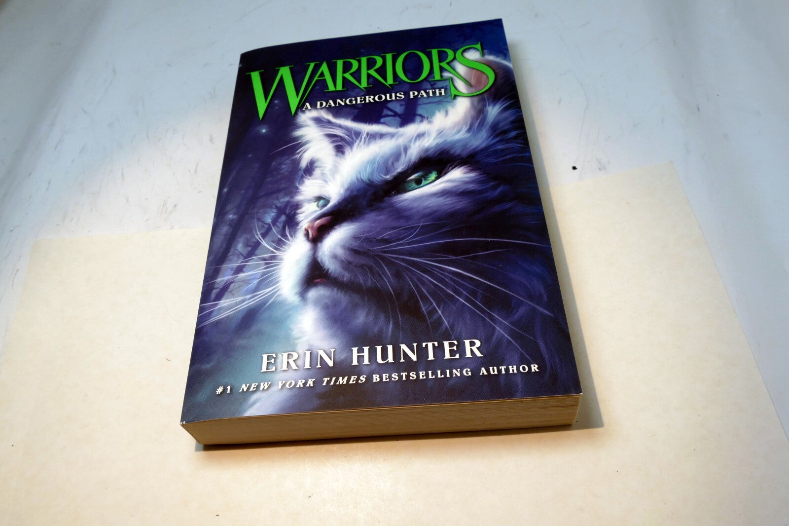 Warriors #5: A Dangerous Path (Warriors: The Prophecies Begin) - Very GOOD
