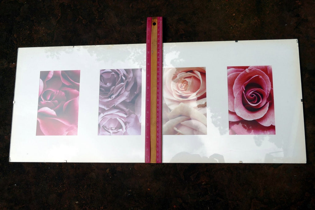 Rose photo art by Christian Sarramon framed with glass 24X10" large collage