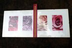 Rose photo art by Christian Sarramon framed with glass 24X10" large collage