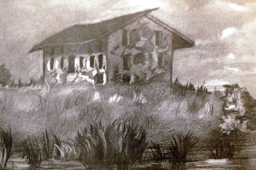 Black and white house landscape marsh vintage postcard 1930's unposted