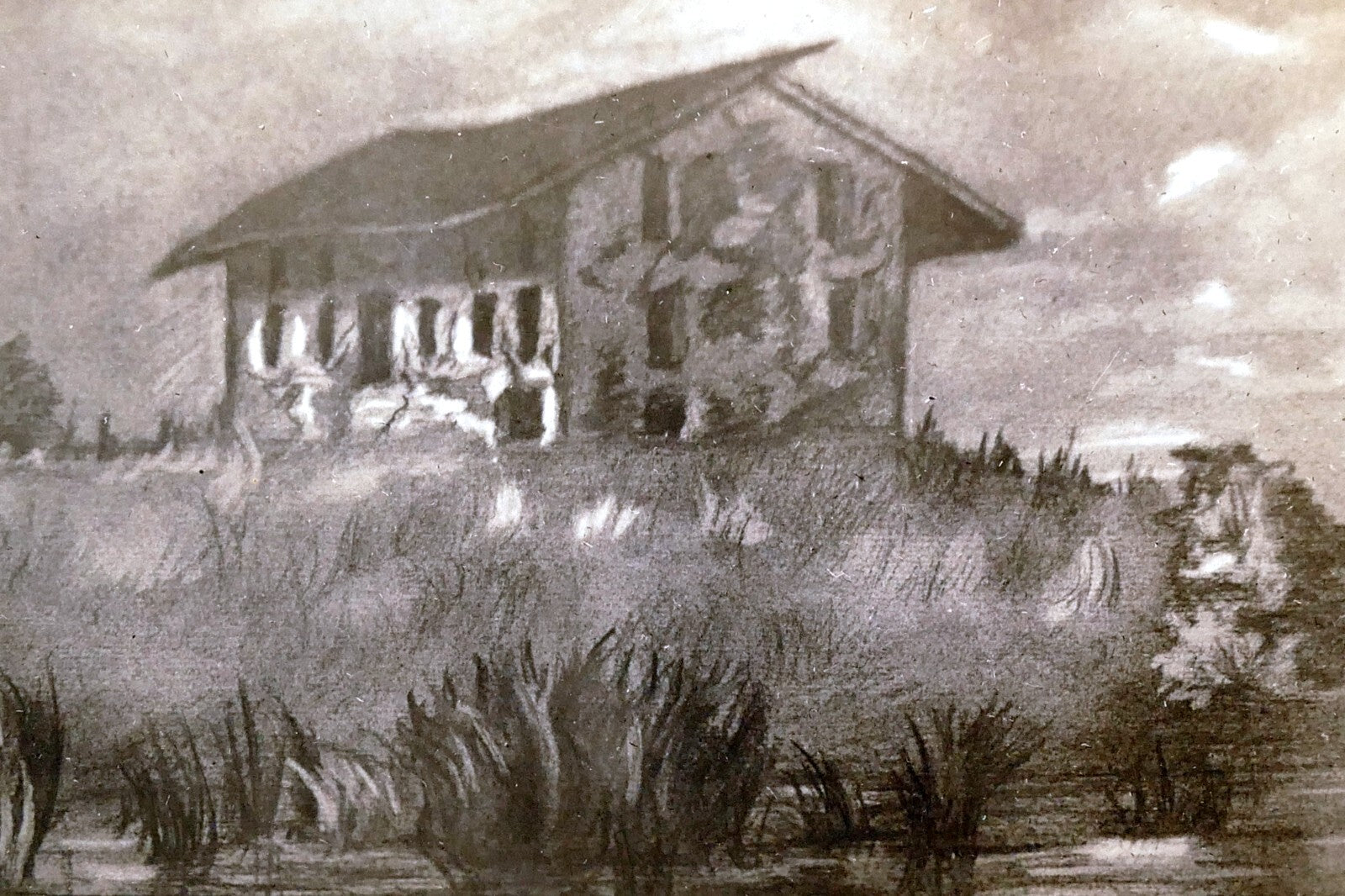 Black and white house landscape marsh vintage postcard 1930's unposted