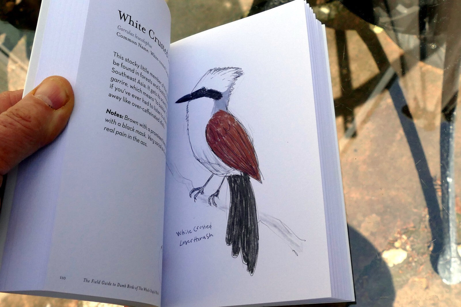 The Field Guide to Dumb Birds of the Whole Stupid World (Paperback or Softback)