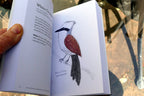 The Field Guide to Dumb Birds of the Whole Stupid World (Paperback or Softback)