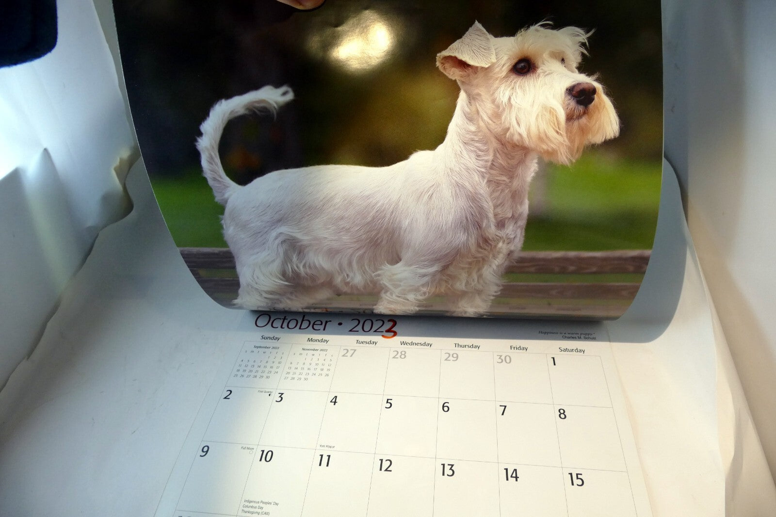 2022 Miniature Calendar puppy dog pics Red Ember family series