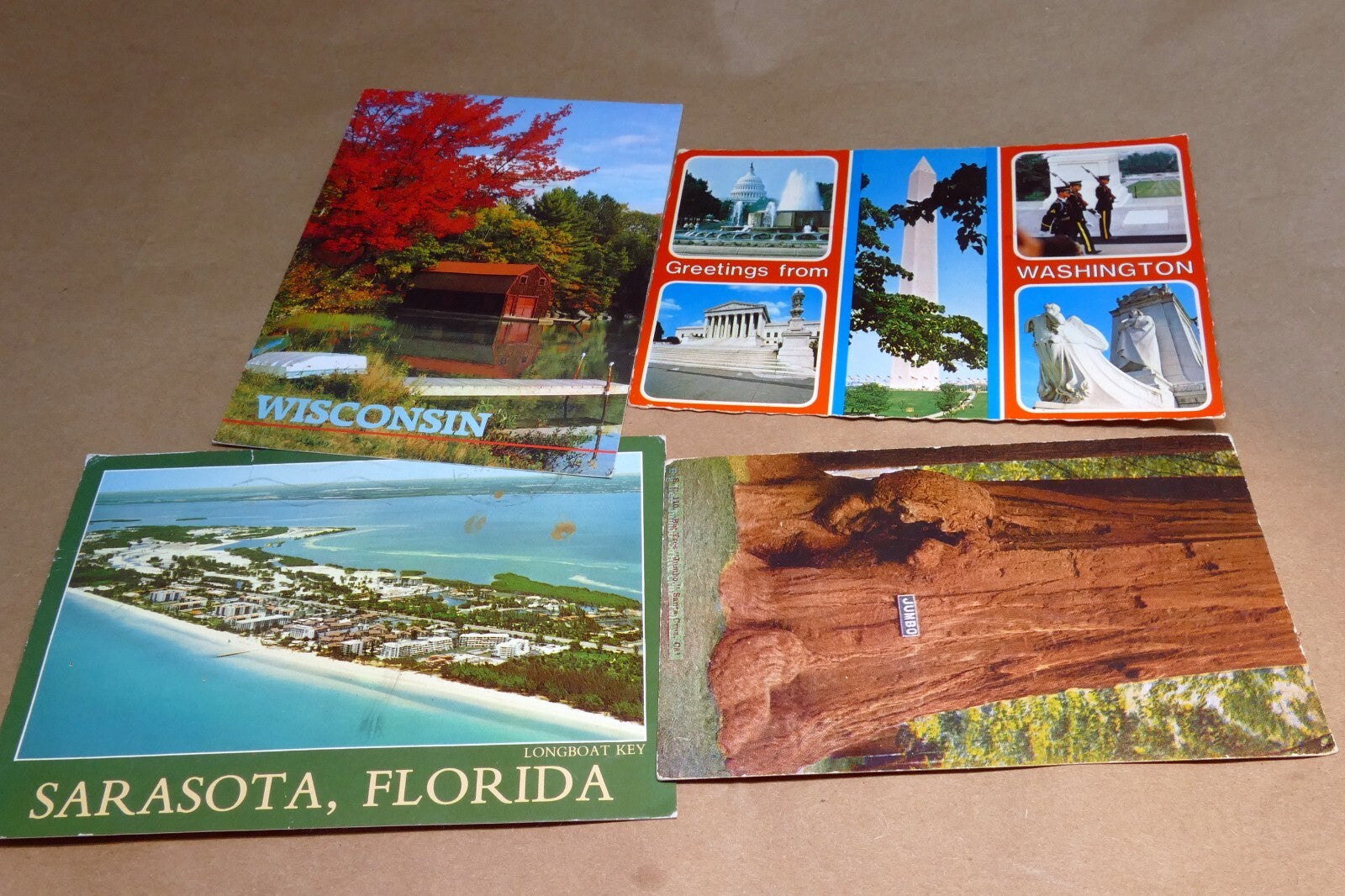 Postcard lot of 4  Posted USA California Sequoia Florida, Wisconsin Washington