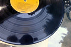 ARLO GUTHRIE - WASHINGTON COUNTY - 1970 REPRISE RECORD RS 6411