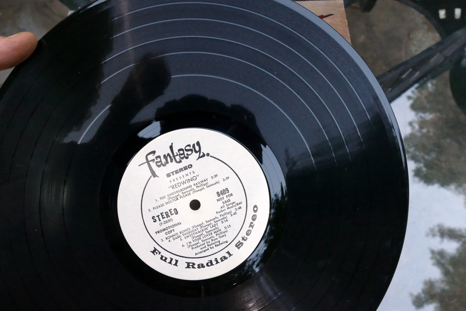 REDWING Hard Folk Psych Vocal Album-FANTASY 8409 VG 1973 Warner Bros. Records LP