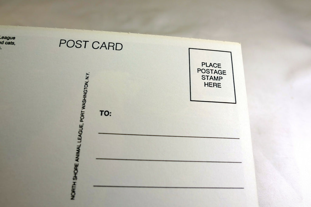 Get Well Postcard Animal Shelter North Shore League Dog with Santa Cookies 1980s