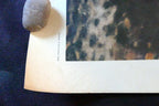 Auguste Renoir G-1152 "The Swing" POSTER Shorewood Press SPADEM 1960