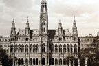 Vienna town hall rathaus 1930's postcard austria   unposted