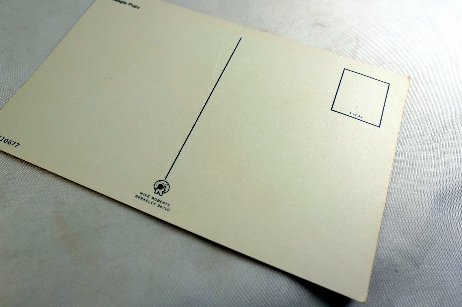 Beagle Pups Dog Mike Roberts Berkeley Postcards California vintage 1970's