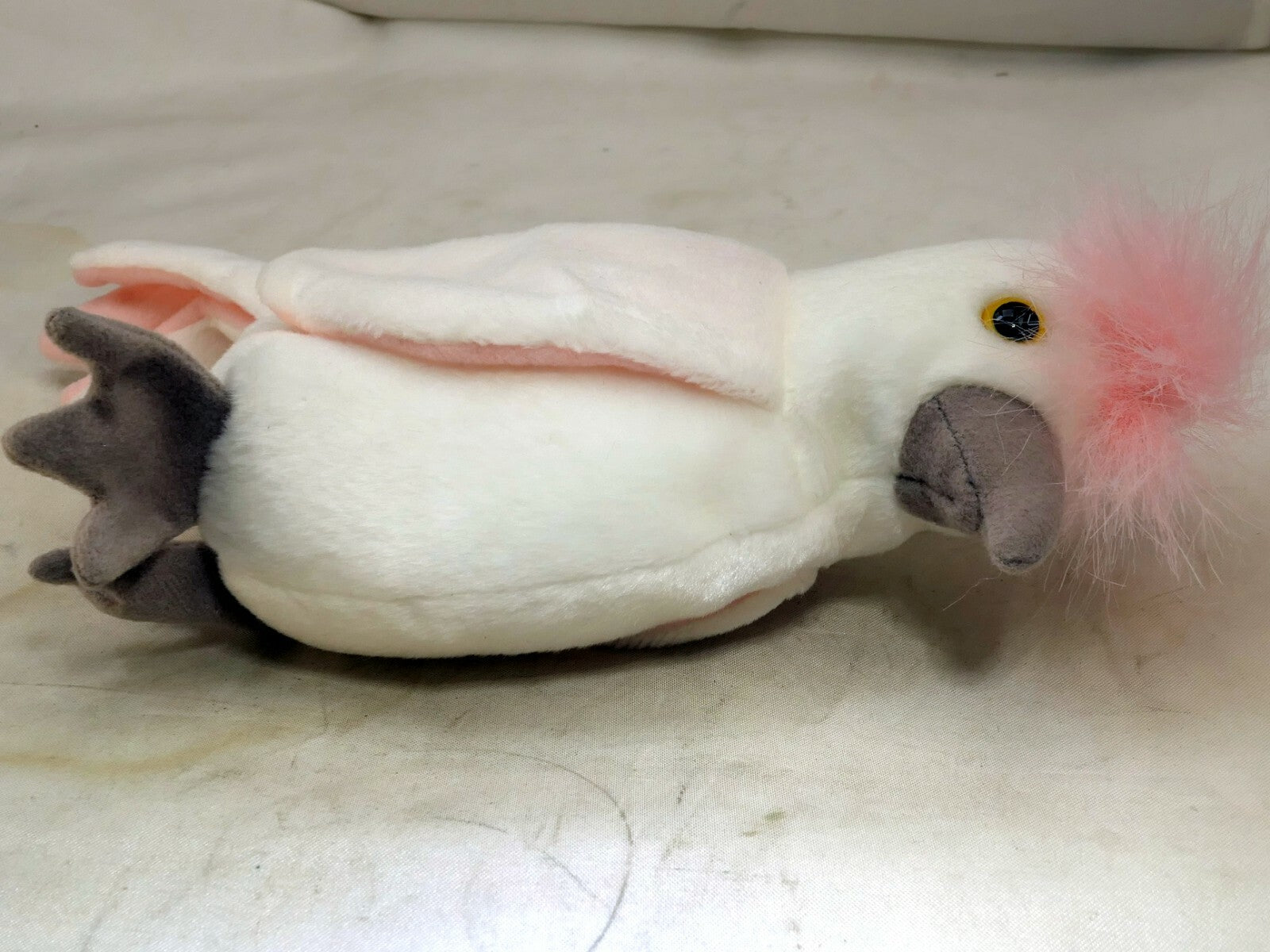 TY Beanie Baby Kuku Rare/Retired 1998 plush toy collection bird white parrot