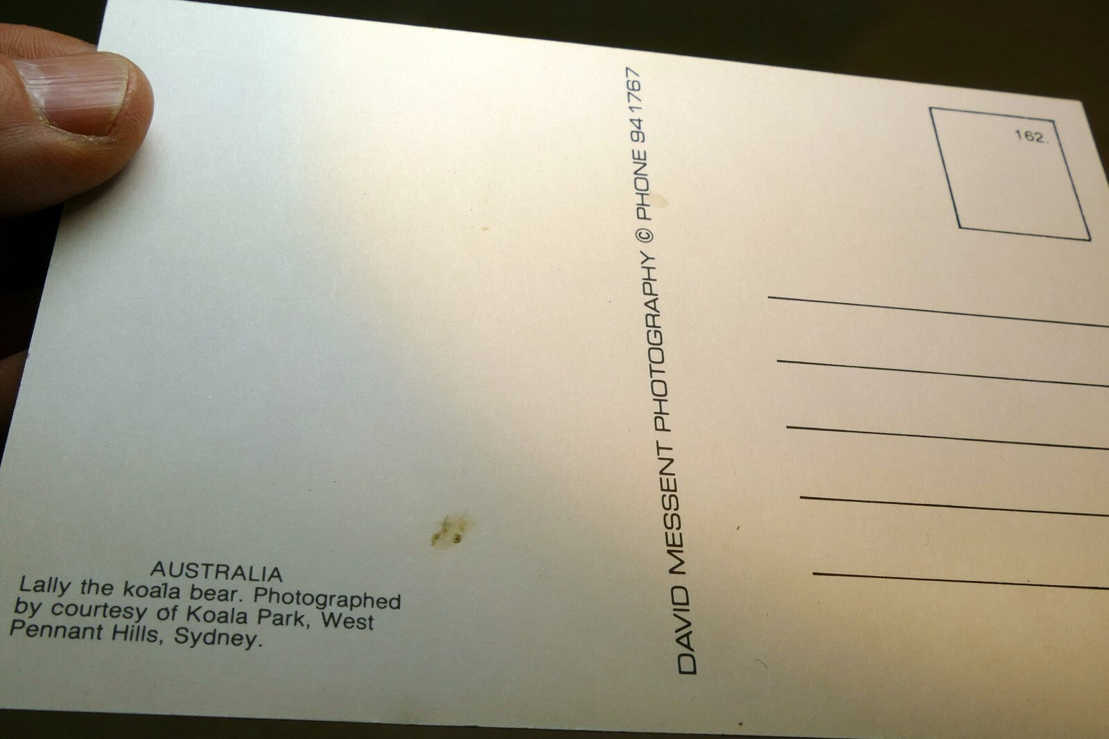 1970-80's Postcard unposted Australia Sydney Koala Cityscapes Opera House