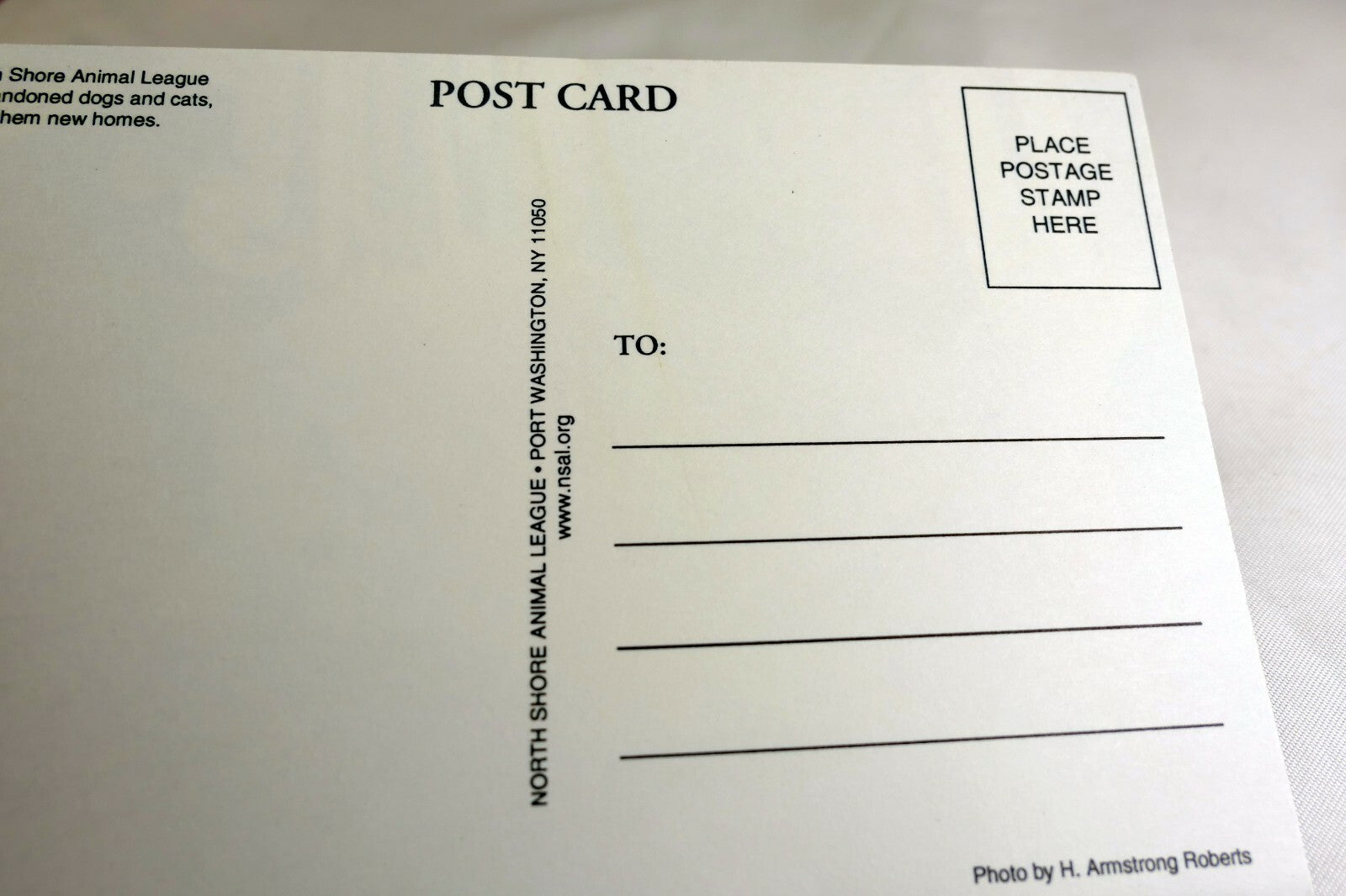 Postcard Animal Shelter North Shore League Adopt a Pet Kitten Cat vintage 1980's