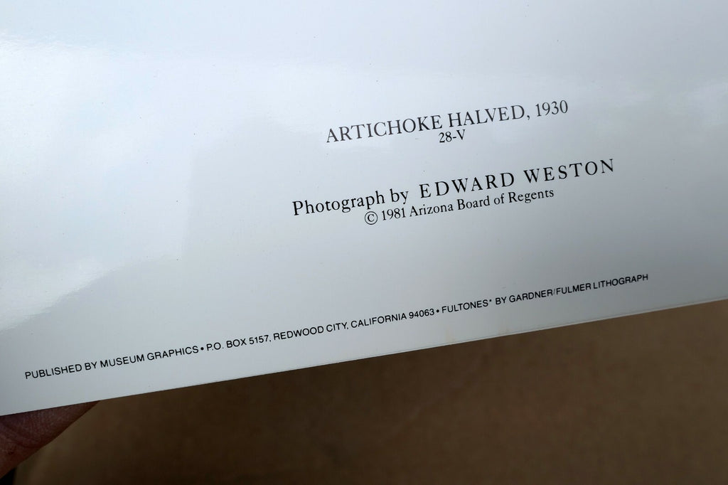 Artichoke Halved 1930 28-V Photograph by Edward Weston W-006-85 Greeting Card