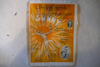 Two little bluebirds, sheet music 1925, from "sunny" musical comedy, by jerome kern