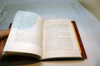 Treasured Stories of Christmas: A Touching Collection of Stories That bring gift