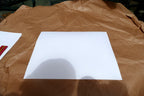 Tree Leaf  11X14" Black & white Picture Photo San Francisco USA