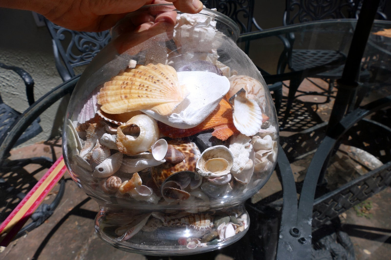 15 LBS Huge lot of Ocean Shell Seashell with glass bowl California San Francisco