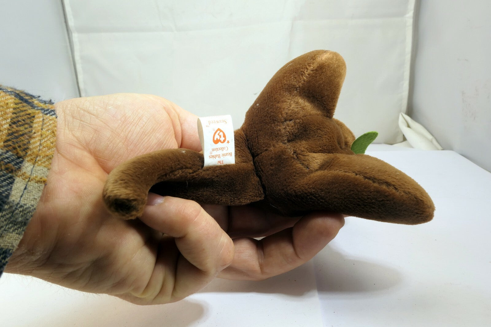 TY Beanie Babies Seaweed Style #4080 PVC 1995/1996