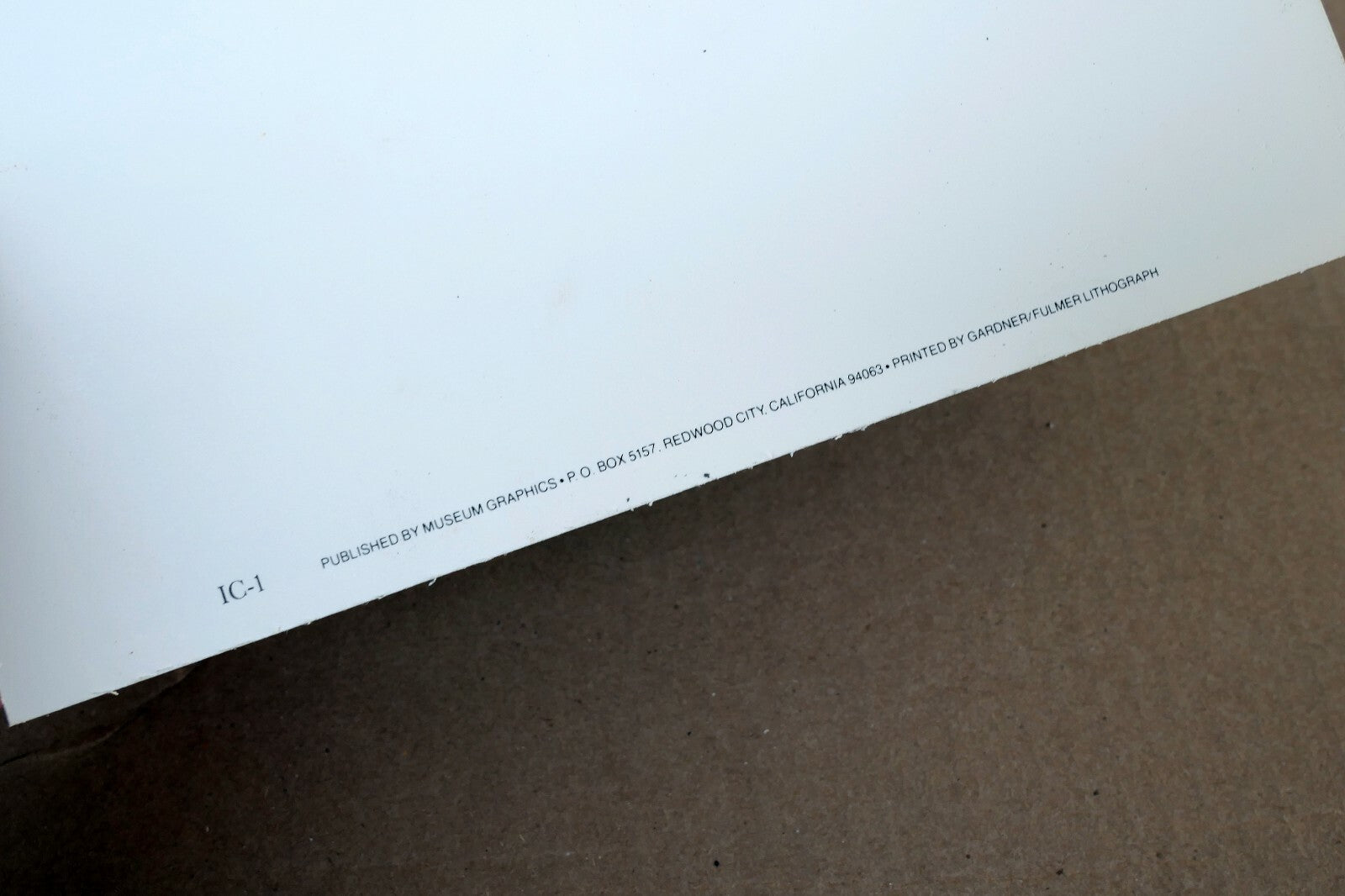 Magnolia Bud 1920 Photograph by Imogen Cunningham POSTCARD IC-1 Floral design