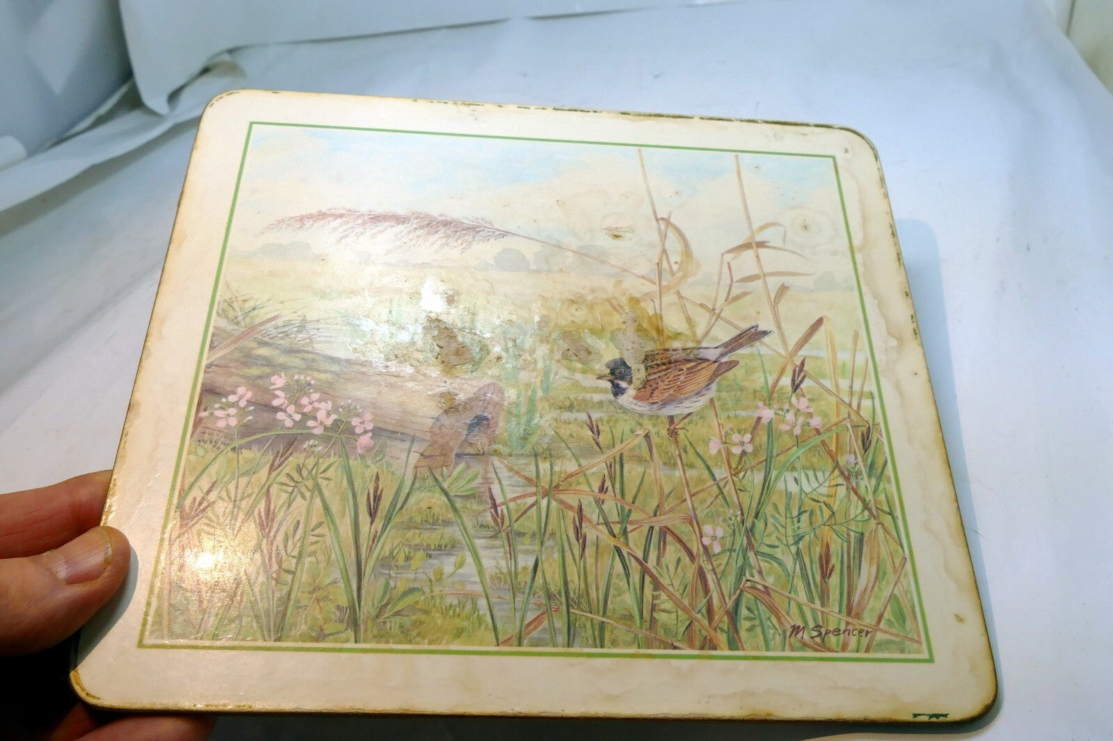 Bird  Placemat   mat 7X8" by M. Spencer Birds - vintage