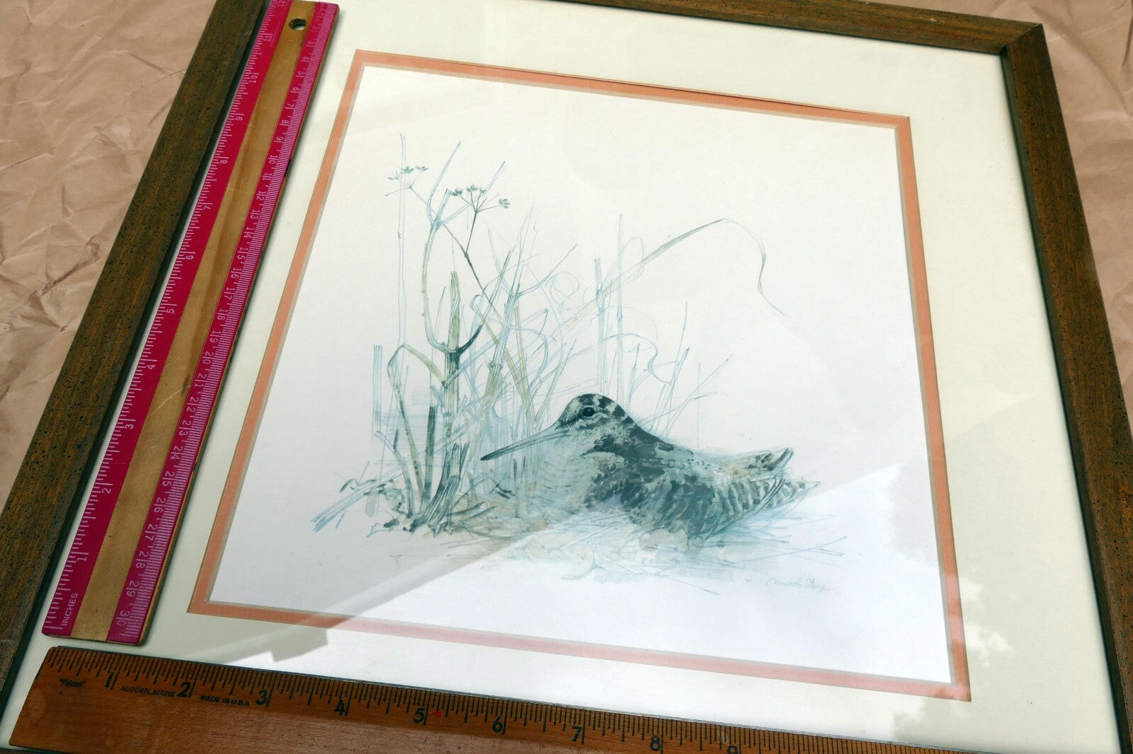 Mads Stage Framed Print Common Snipe bird nesting 11X11" signed
