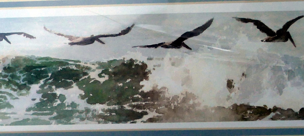 3x18" shorebirds pelicans flying print r. folk nws