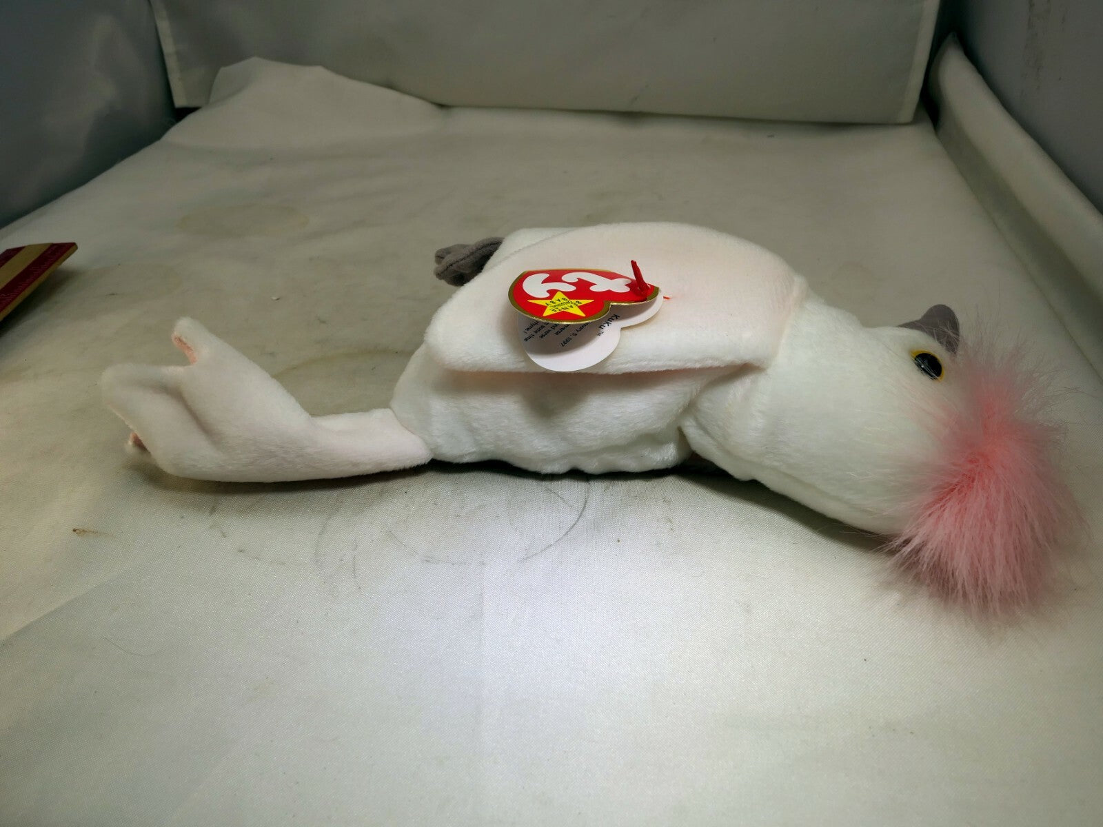 TY Beanie Baby Kuku Rare/Retired 1998 plush toy collection bird white parrot