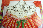 Get well postcard animal shelter north shore league dog puppies 1980's