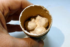 Marco Purified Epsom Salt Western Manufacturing Co. Winnipeg Canada 1910's