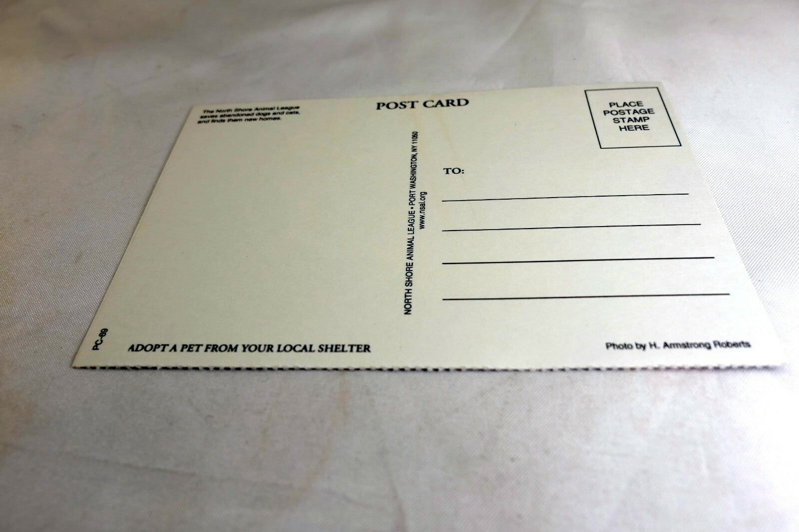 Postcard Animal Shelter North Shore League Adopt a Pet Kitten Cat vintage 1980's