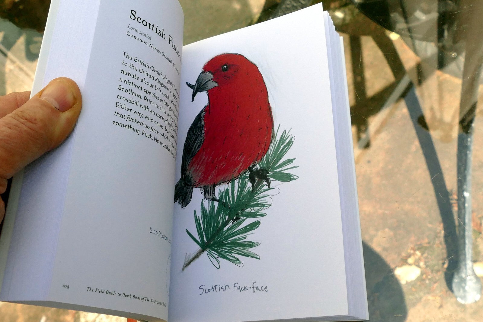 The Field Guide to Dumb Birds of the Whole Stupid World (Paperback or Softback)