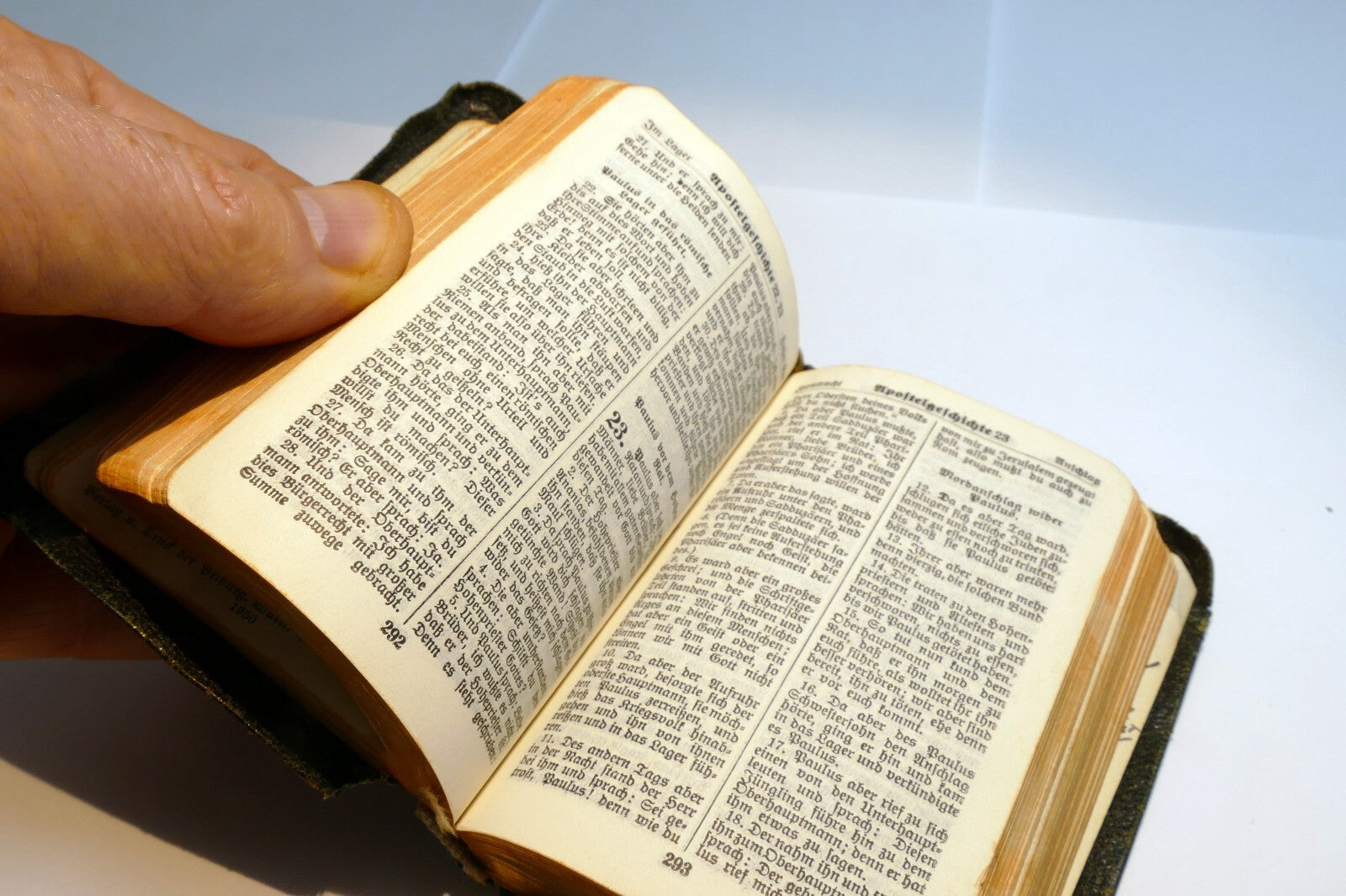 Das Neue Testament 1950 Stuttgart German Bible Translated By D. Martin Luther