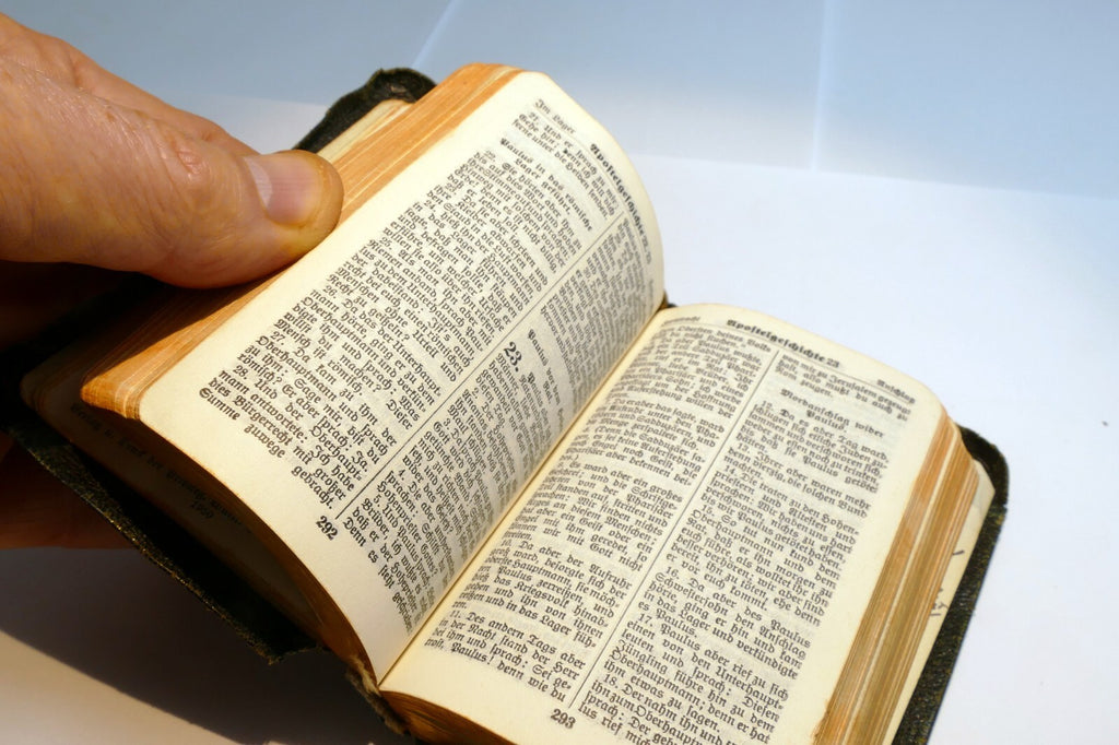 Das Neue Testament 1950 Stuttgart German Bible Translated By D. Martin Luther