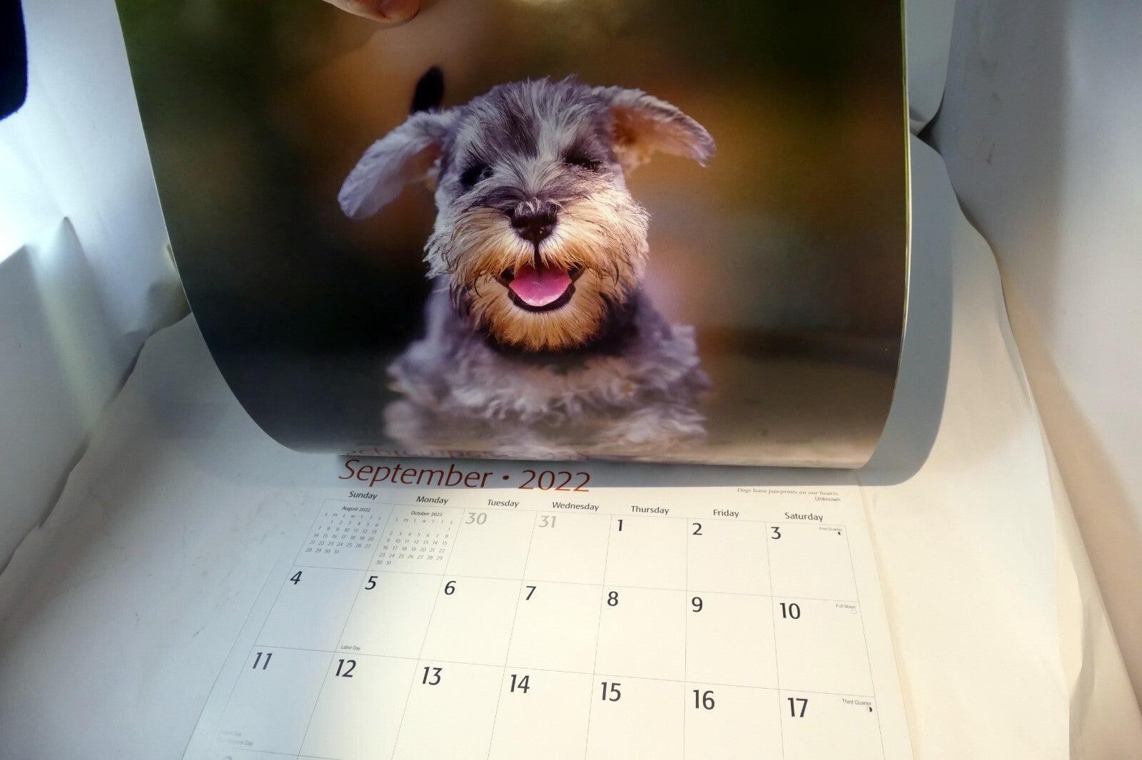 2022 Miniature Calendar puppy dog pics Red Ember family series
